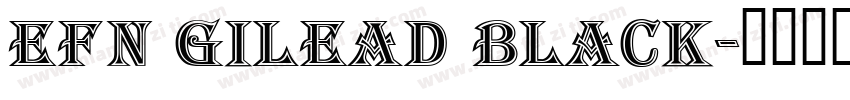 EFN Gilead Black字体转换
